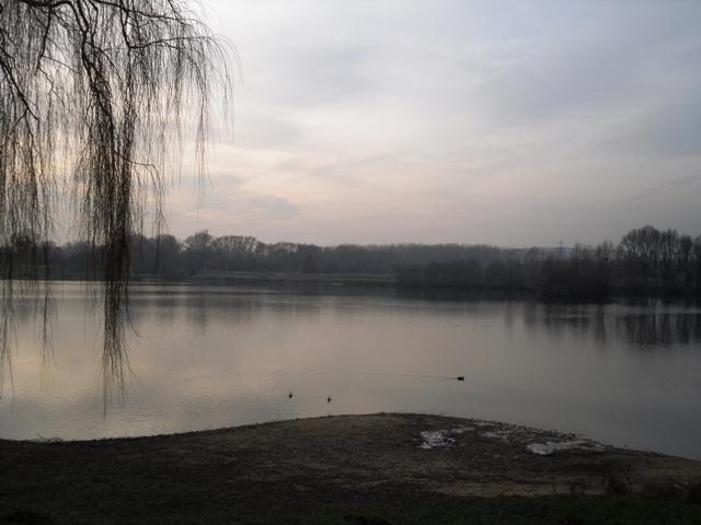 Bretigny-sur-Orge Lac du Carouge